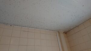 浴室天井のカビ