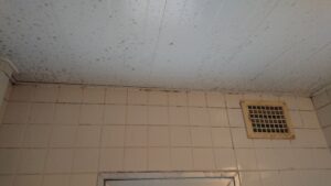 浴室天井のカビ２